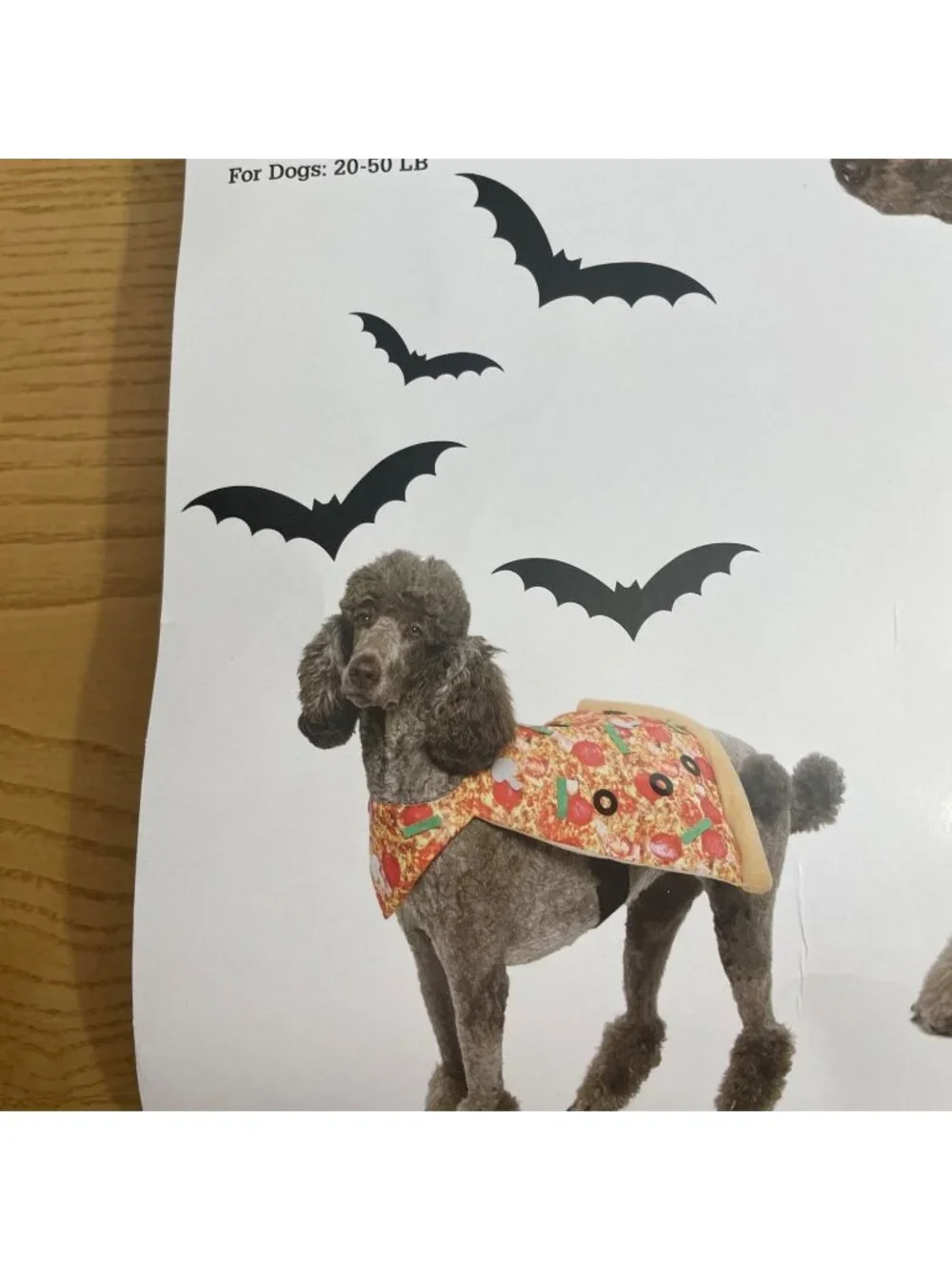 Dog Halloween Pizza Costume Sz Medium Slice w Pepperoni Olives Cheese Adjustable